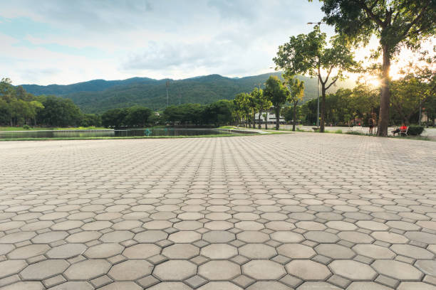Best Professional Driveway Pavers  in Pojoaque, NM