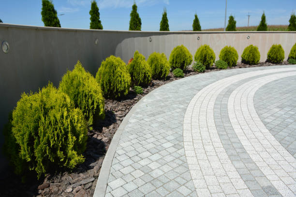 Reasons to Select Us for Your Driveway Paving Requirements in Pojoaque, NM